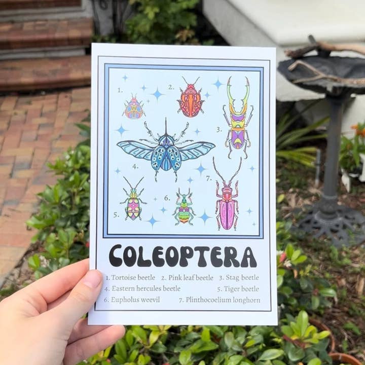 LadyBeatificsBugs - Wholesale Art print - Beetle Retro Insect Art Print1