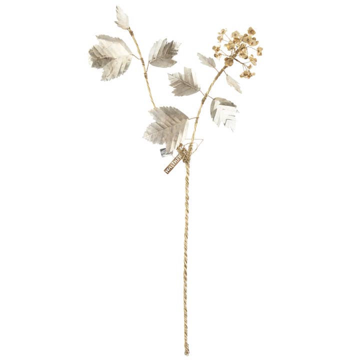 Hortênsia por atacado de Walther & Co.