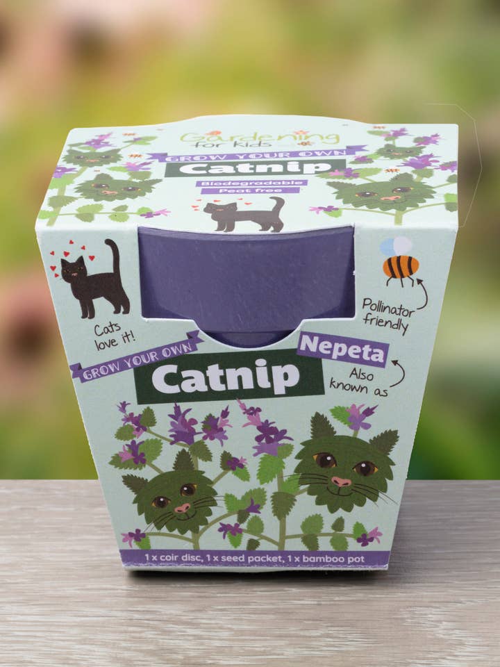 Grow Your Own Catnip Plant Complete Growing Kit for wholesale by Gardening for Kids Ltd