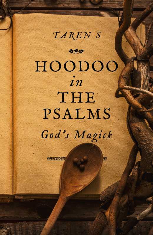 Simon & Schuster - Wholesale Religion - Hoodoo in the Psalms by Taren S0