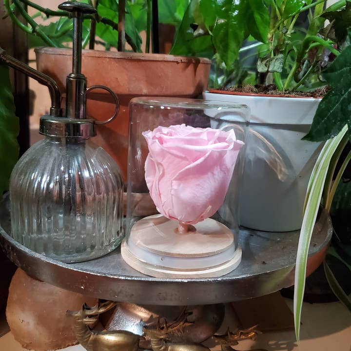 A'Rt VEGETAL CREATION - Wholesale Artificial Flowers - Eternal rose under bell5