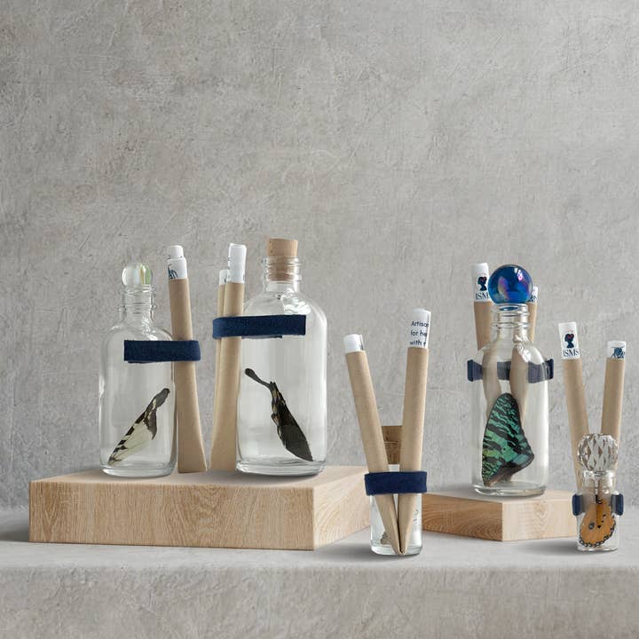 Isms - Wholesale Decorative Tabletop Object - Real Standard Butterfly Wing in Glass Bottle6