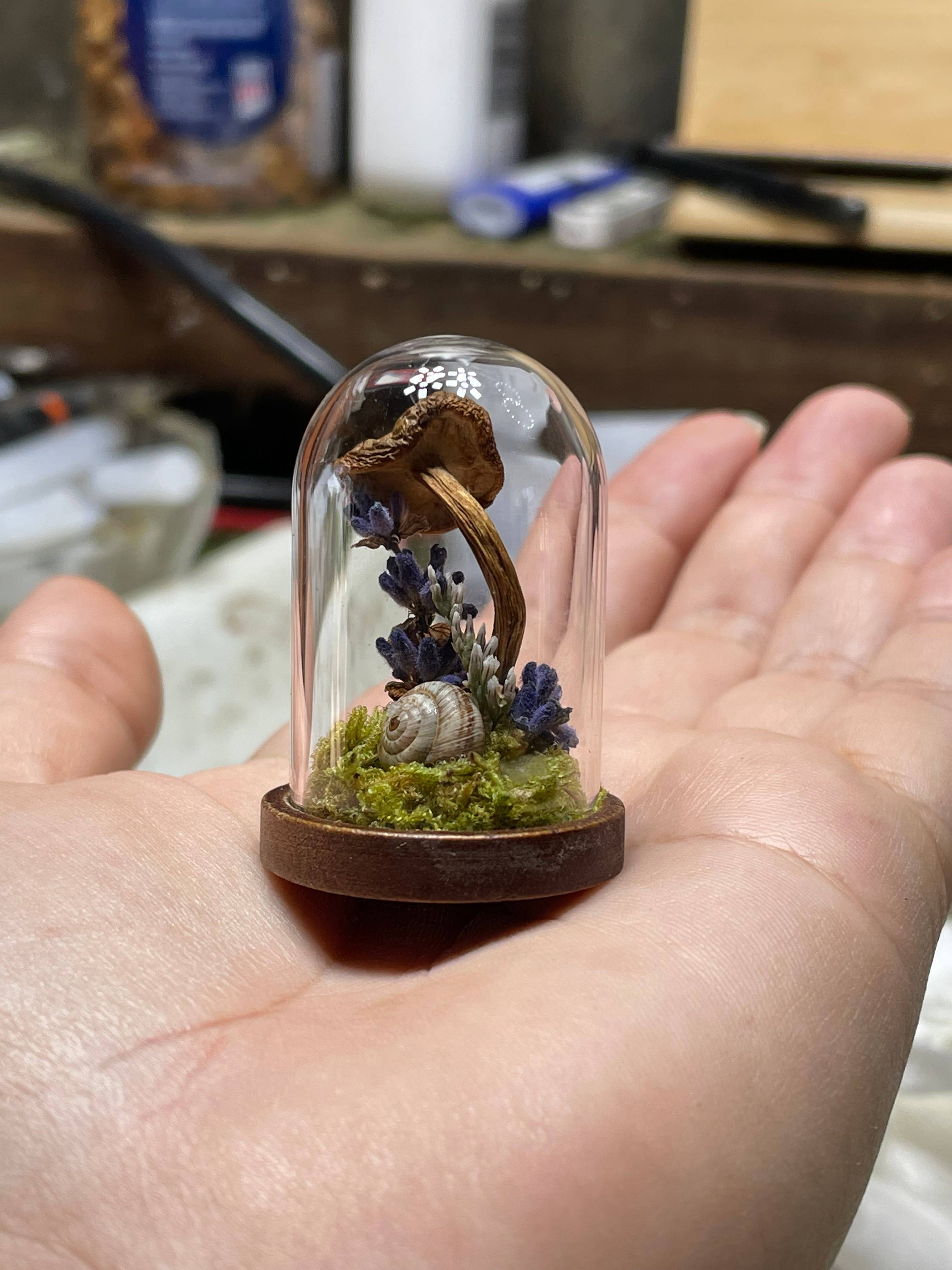 Right Side Hand - Wholesale Terrarium - Miniature Lavender, Mushroom, and Snail Terrarium1
