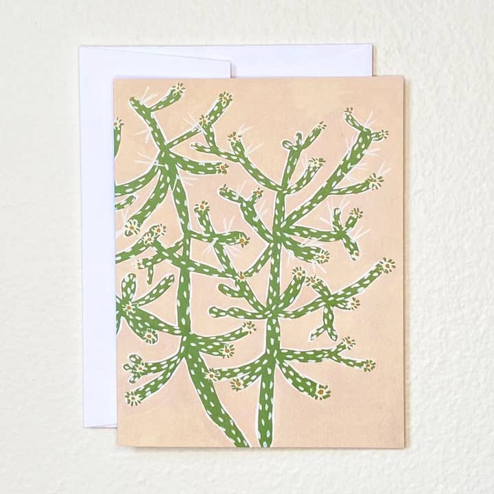 Tree Cholla for wholesale by LLUBAV CO.