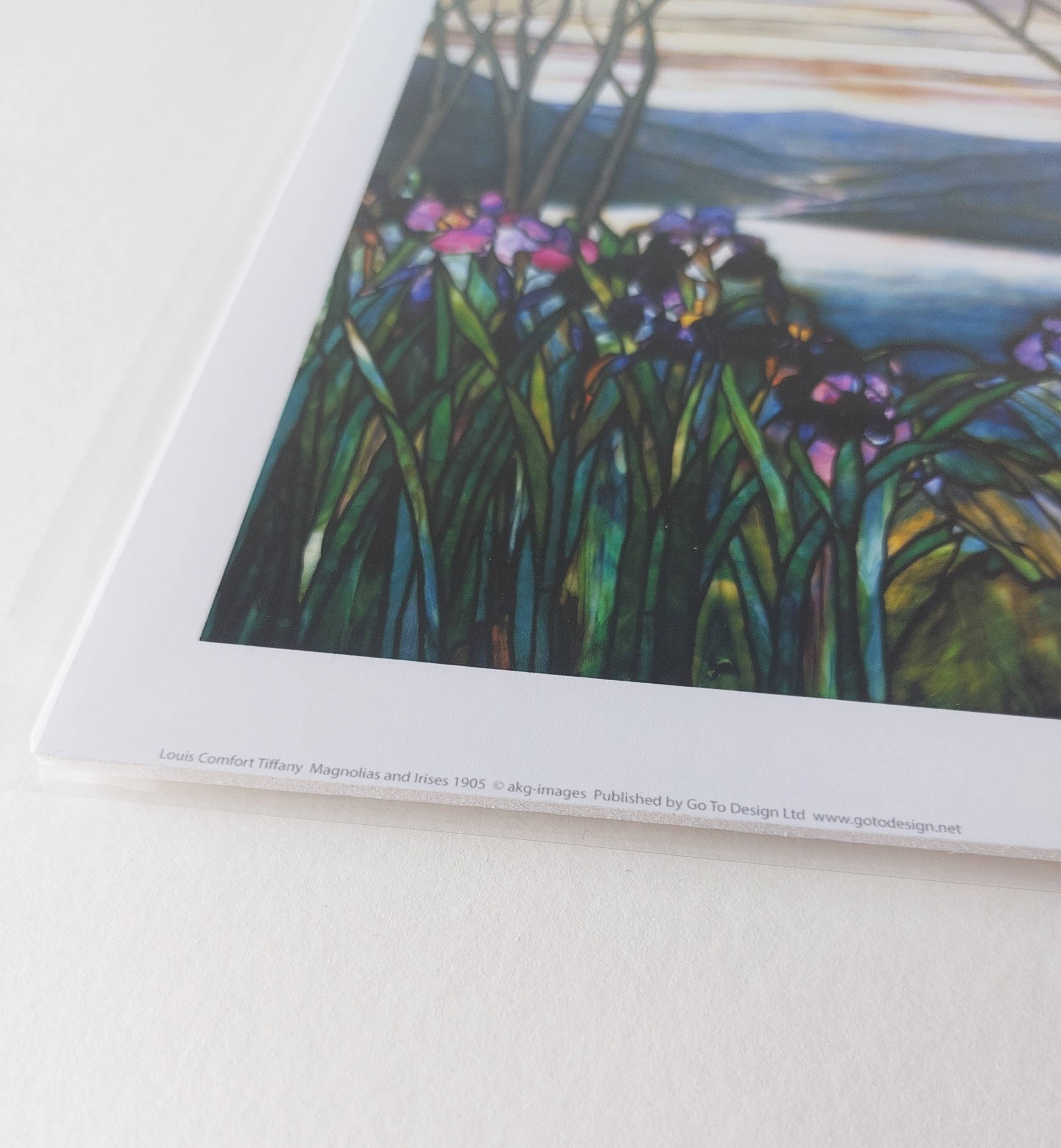 Go To Design - Wholesale Art Print - Fine art print Magnolias and Irises unframed wall art3