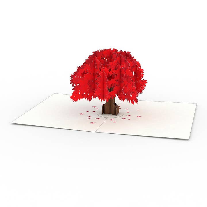 Lovepop Cards - Wholesale Everyday Greeting Card - Garden 3.75 "x5.125" Notecards (4-Pack), Pop-Up Cards