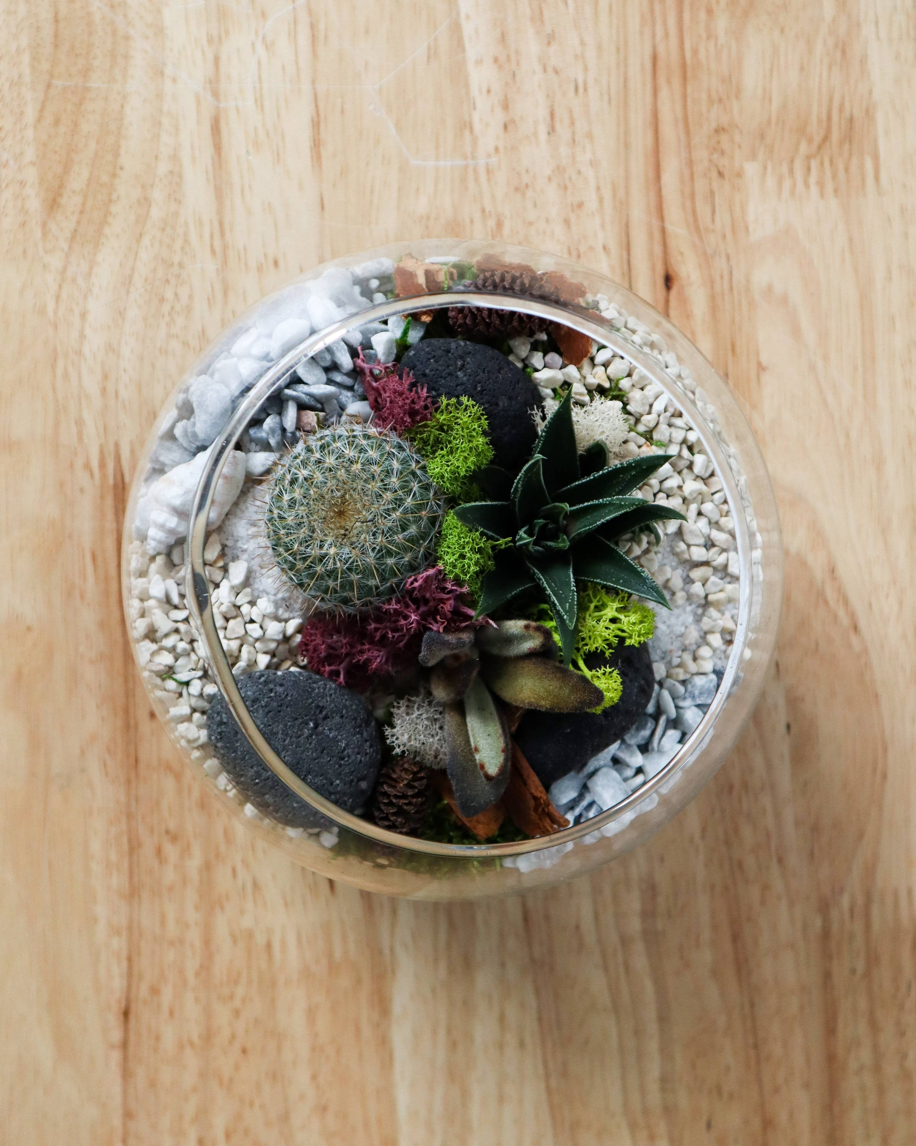 Plant Shop - Wholesale DIY Craft Kit - Terrarium Kit : Globe3