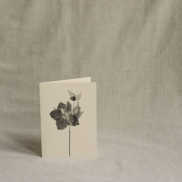 Alicia Breakspear - Wholesale Everyday Greeting Card - Hellebore Flower Greeting Card A6 Recycled Card 2
