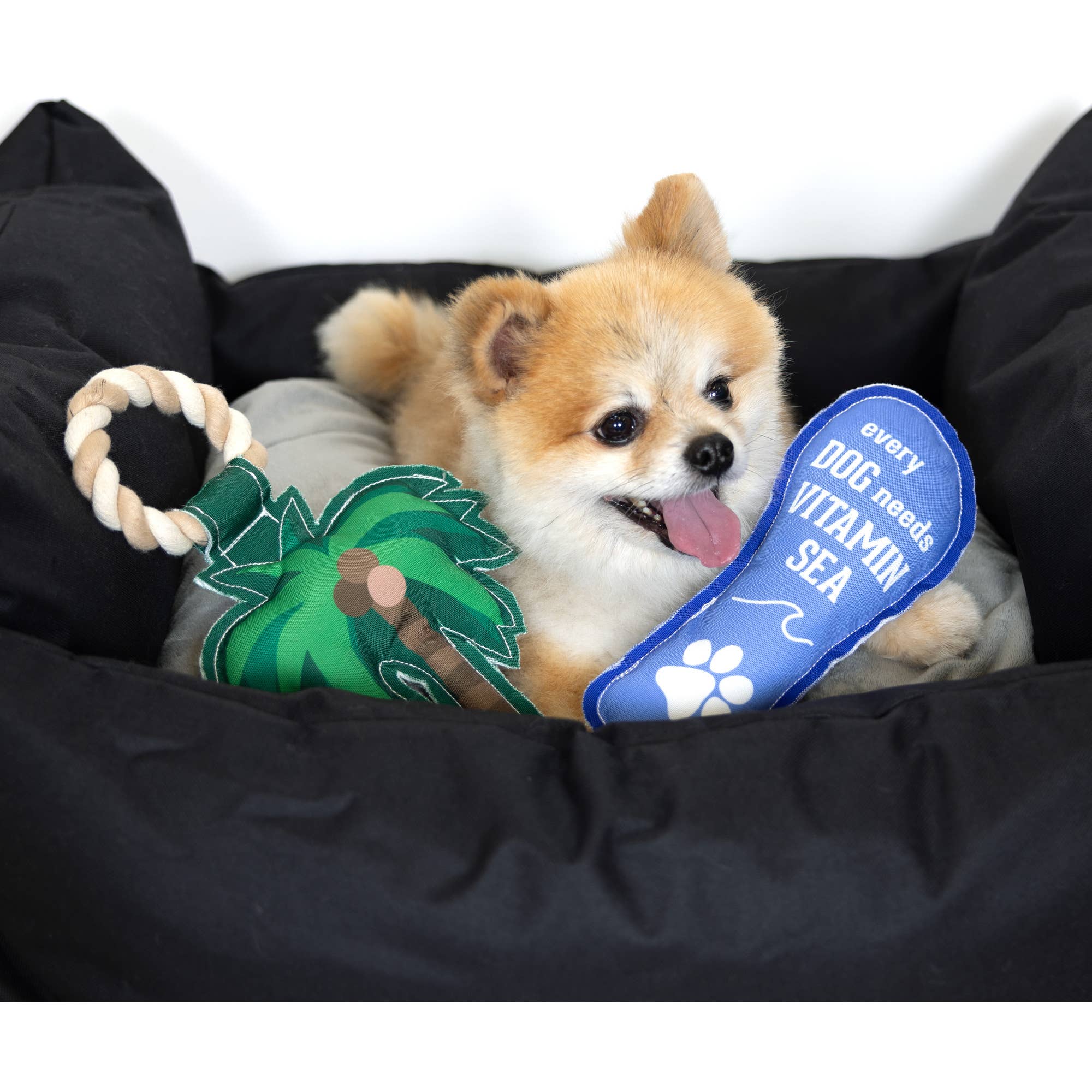 Pavilion – Engroshandel Tovlegetøj - Hund – Vitamin Sea - 9" lærred hundelegetøj med reb1