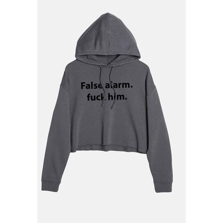 Nobrand - Wholesale Hoodie - Women's - false alarm fuck him graphic crop hoodie 2