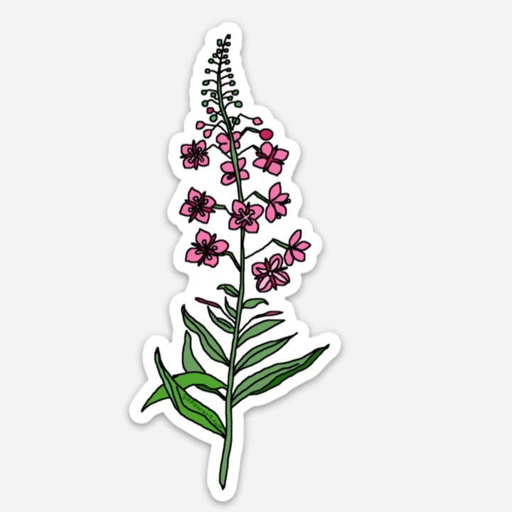 Fireweed Durable Vinyl Phone & Laptop Stickers for wholesale by Sopow Art