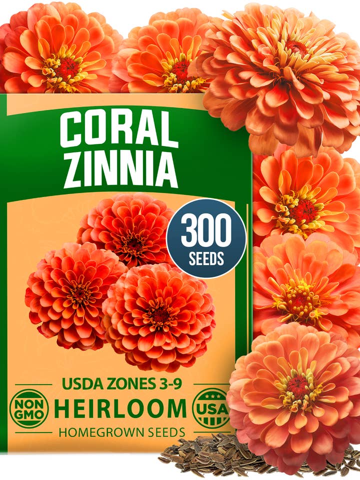 HOME GROWN Coral Zinnia Flower Seeds – 300 Pack for 2026
for wholesale by Homegrown Garden