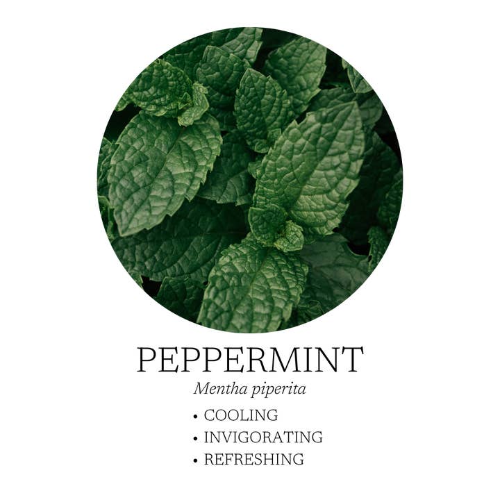 Aromatic Creation - Wholesale Etherische olie - Diep Ademhalingsdiffuser Mengsel 10 mL3