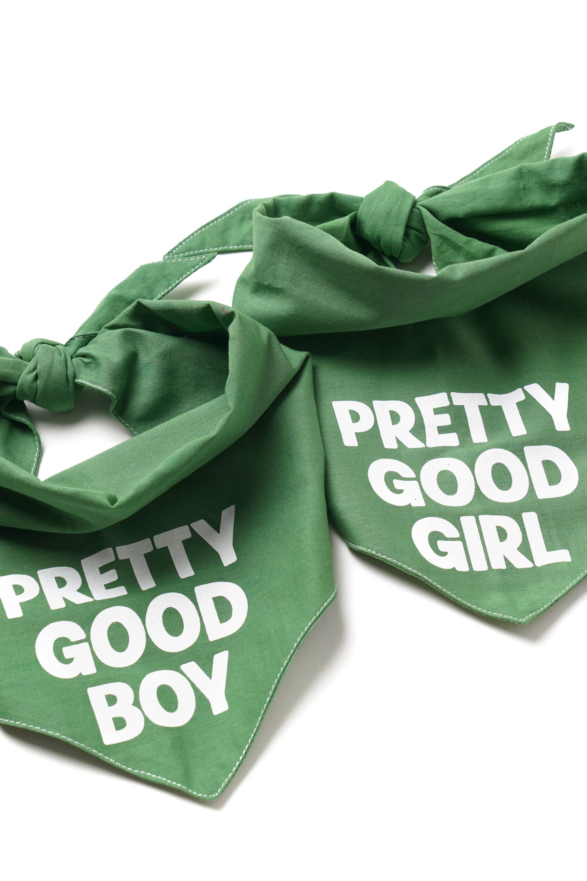 The Paws - Wholesale Pet Bandana - Dog - Custom Text / Message Dog Bandanas29