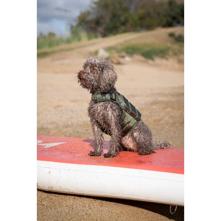 Noah and paw - Wholesale Pet Jacket - Dog - Human Standards Dog Lifejacket Design with 3x Foam Support for Max Floating - Green