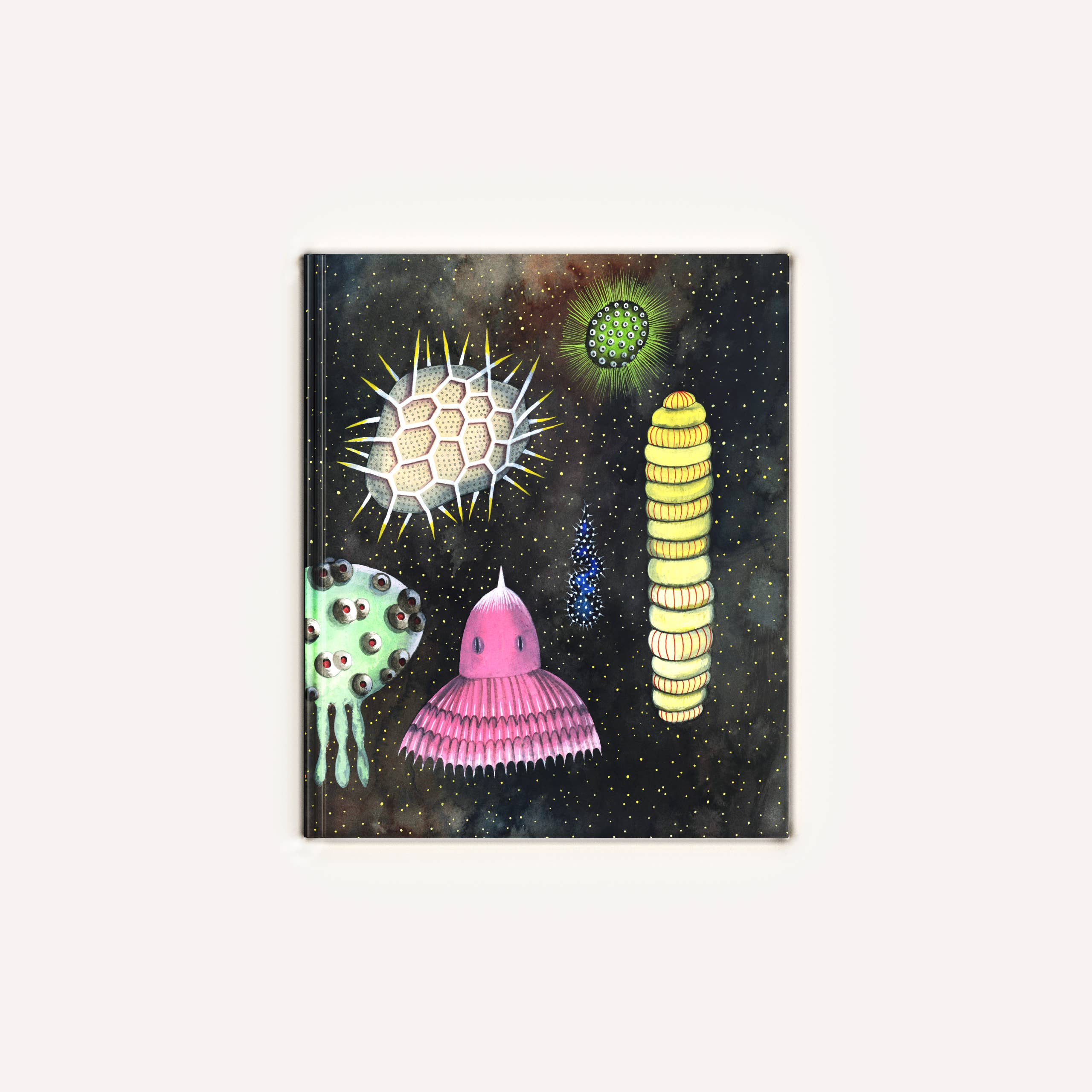 Chronicle Books - Wholesale Preschool Book (3-5) - If You Come to Earth25