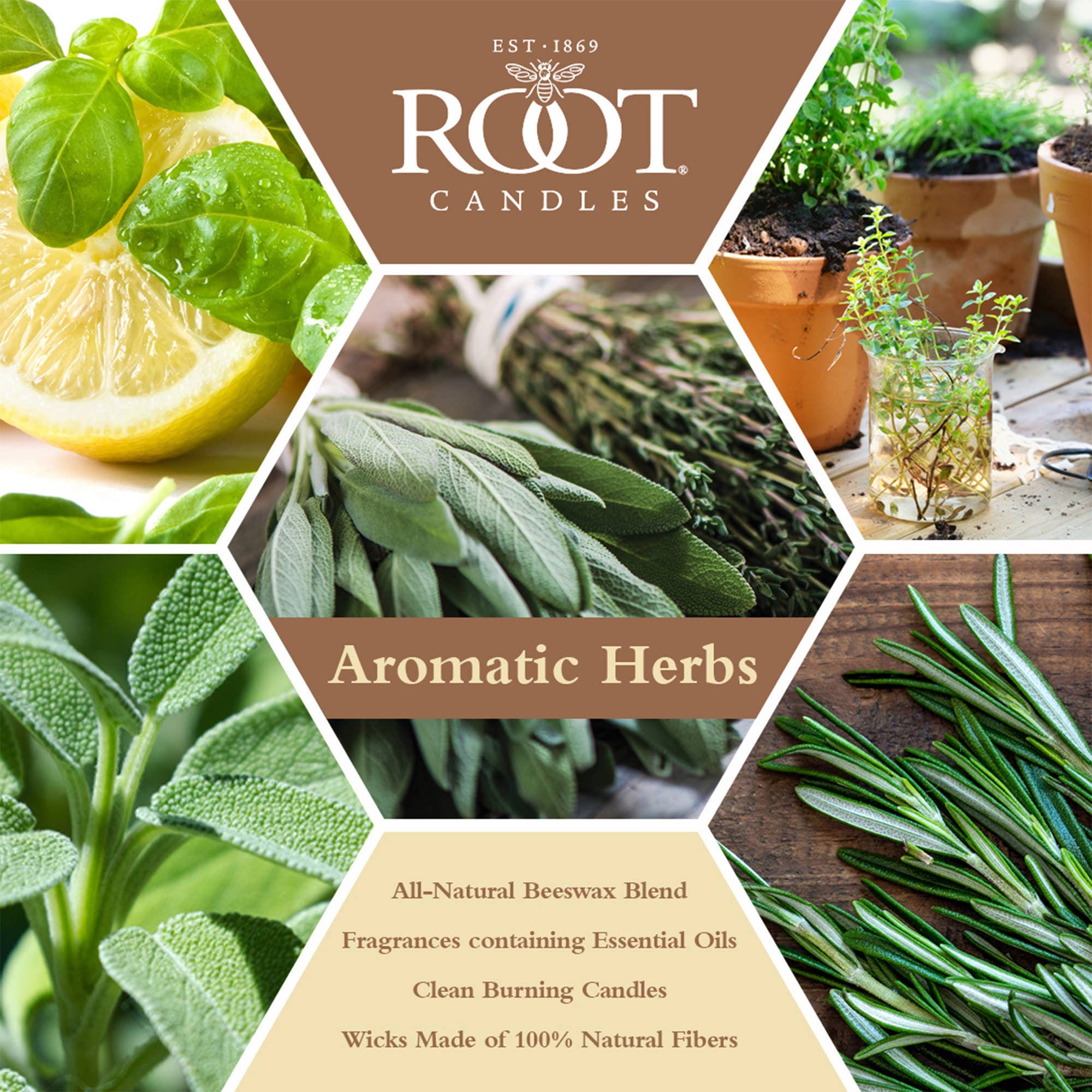 ROOT Candles - Wholesale Jar/Filled Candle - Root 6.3 Oz Small Veriglass4