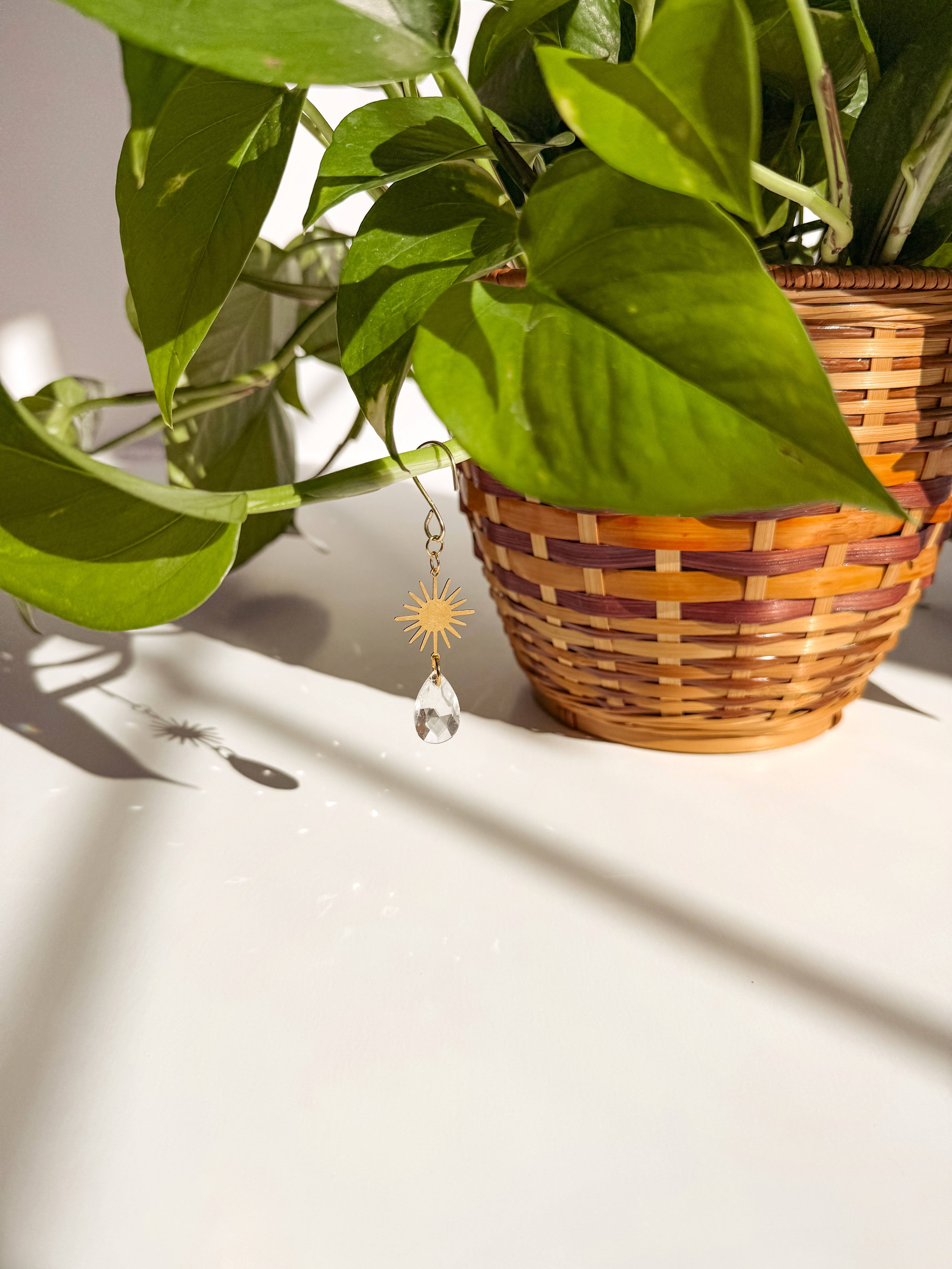 Meraki The Studio Co. - Wholesale Suncatcher - Plant Charm | Suncatcher + Sun | Houseplant Accessories8