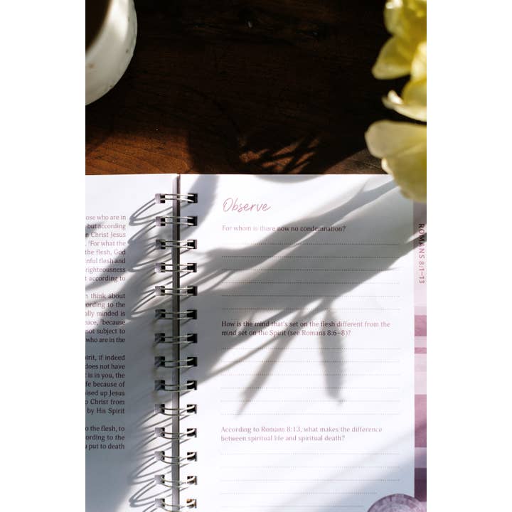 Barbour Publishing, Inc. - Wholesale Religion Book - Romans: An All-in-One Study on Salvation and New Life6