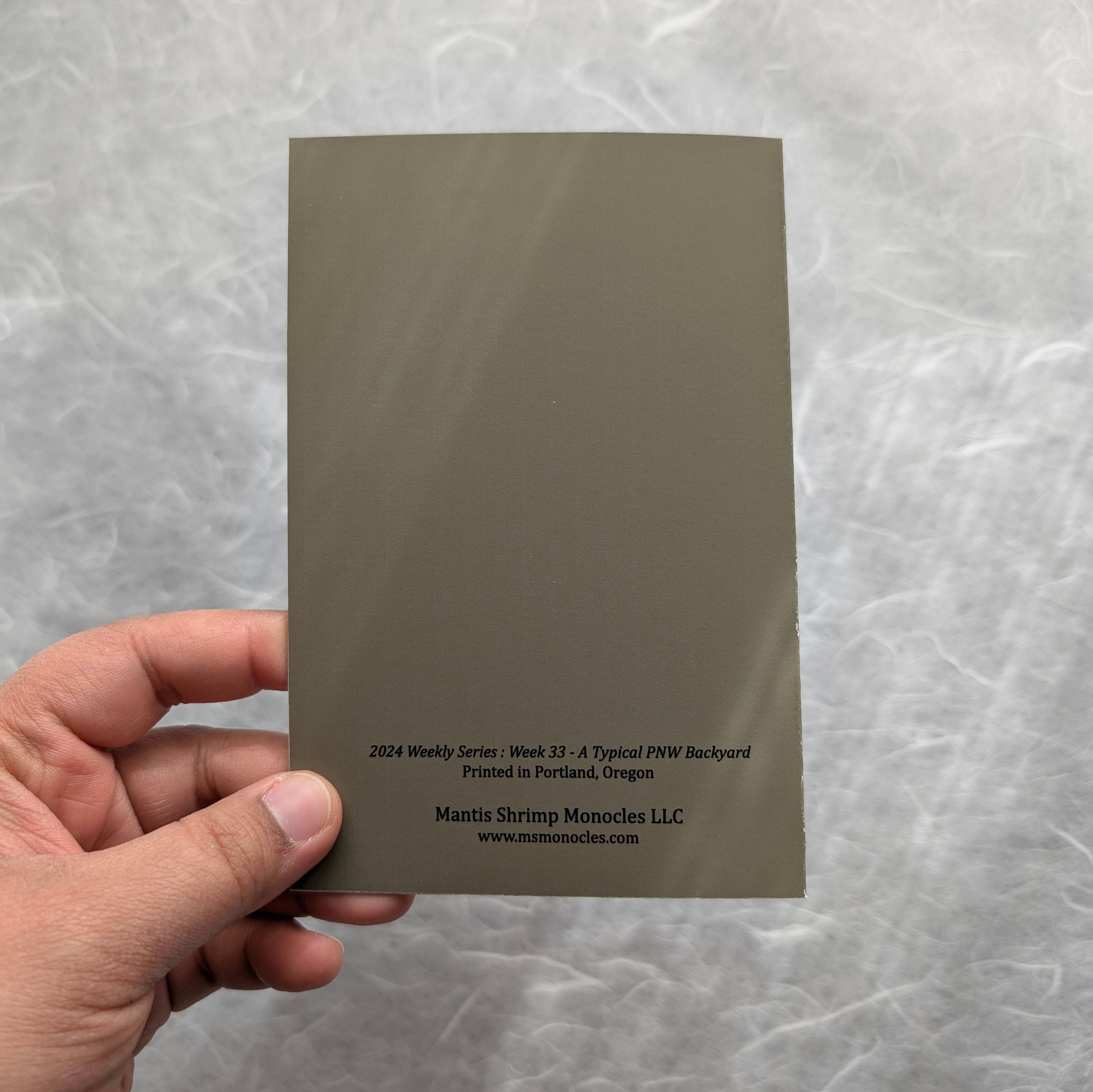 Mantis Shrimp Monocles - Wholesale Everyday Greeting Card - A Typical PNW Backyard Greeting Card3