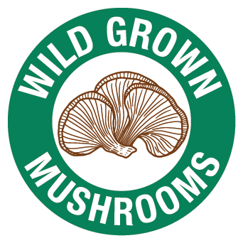 Bravo Tea - Wholesale Health/Detox Tea - Turkey Tail Mushroom Herbal Tea1