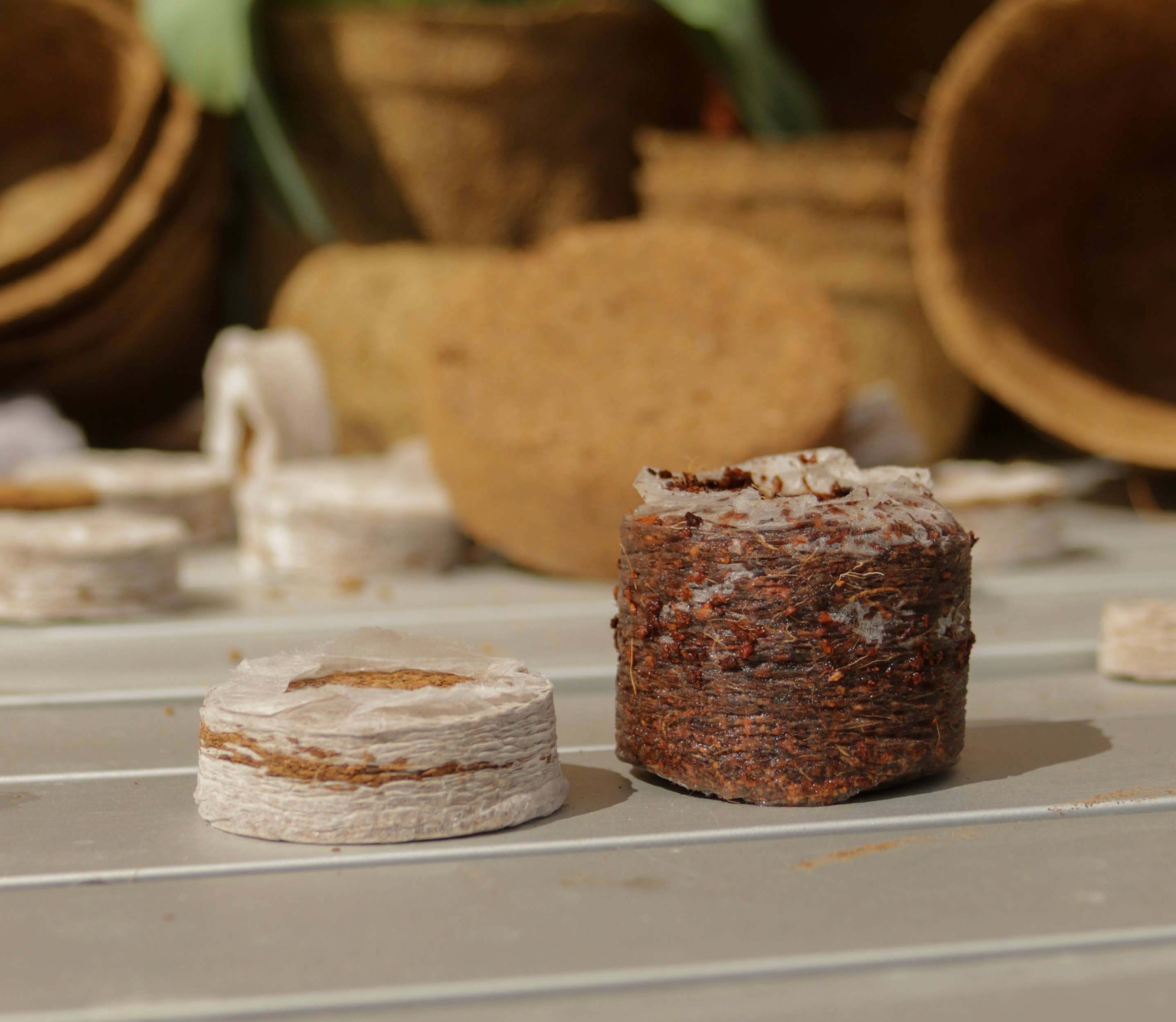 CoirProducts.co.uk of Salike Limited - Vente Graines de plantes - Pièces de coco de 42 mm | Granulés de coco pour la germination9