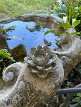 Backyard Stone Art - Vendita all'ingrosso Ornamenti/decorazioni per esterni - Fiore in cemento, ninfea di loto, 7,6 x 3,8 cm1