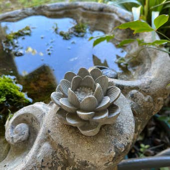Backyard Stone Art - Vendita all'ingrosso Ornamenti/decorazioni per esterni - Fiore in cemento, ninfea di loto, 7,6 x 3,8 cm1