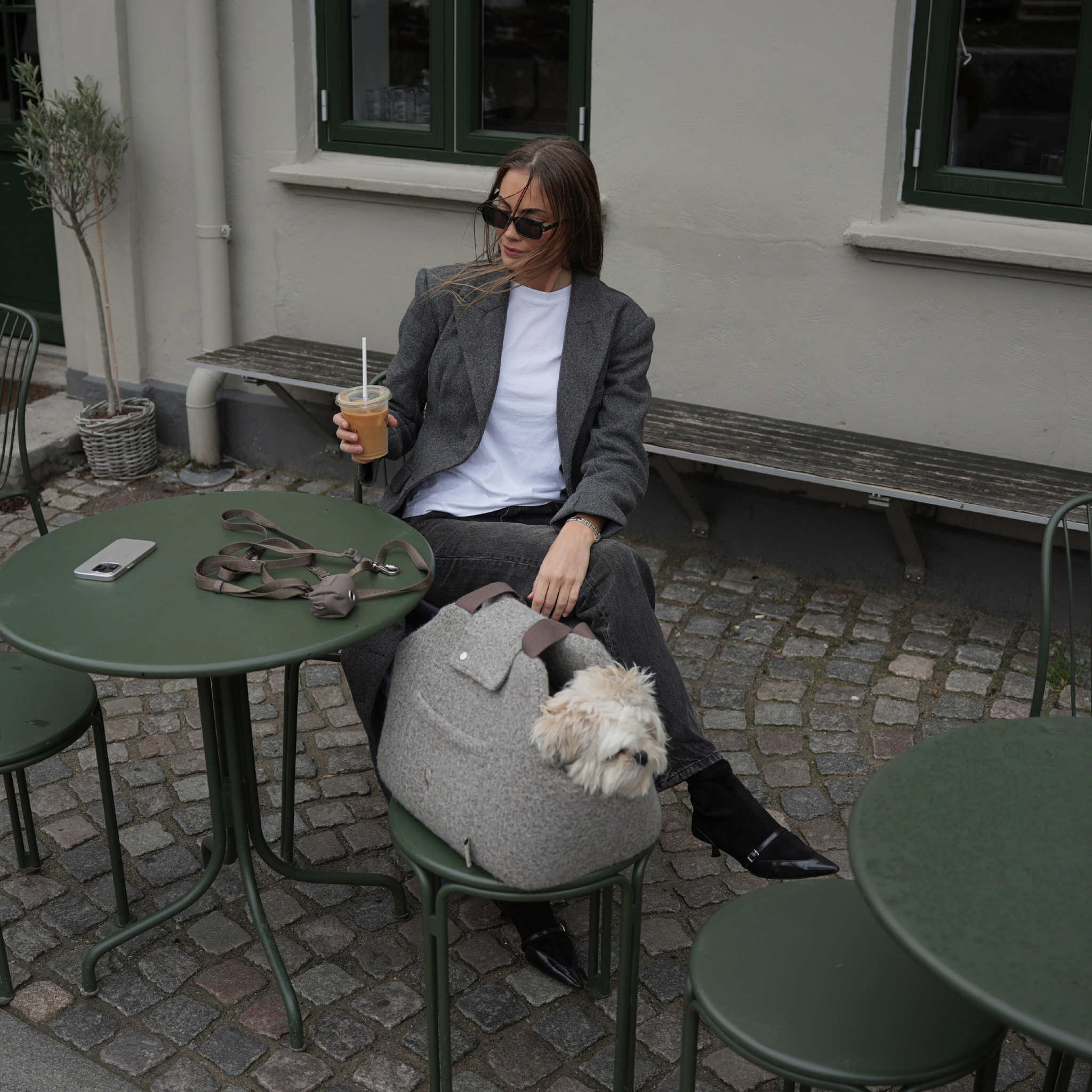 Staey - Wholesale Pet Carrier - Dog - Carrier Bag Curl | Taupe5