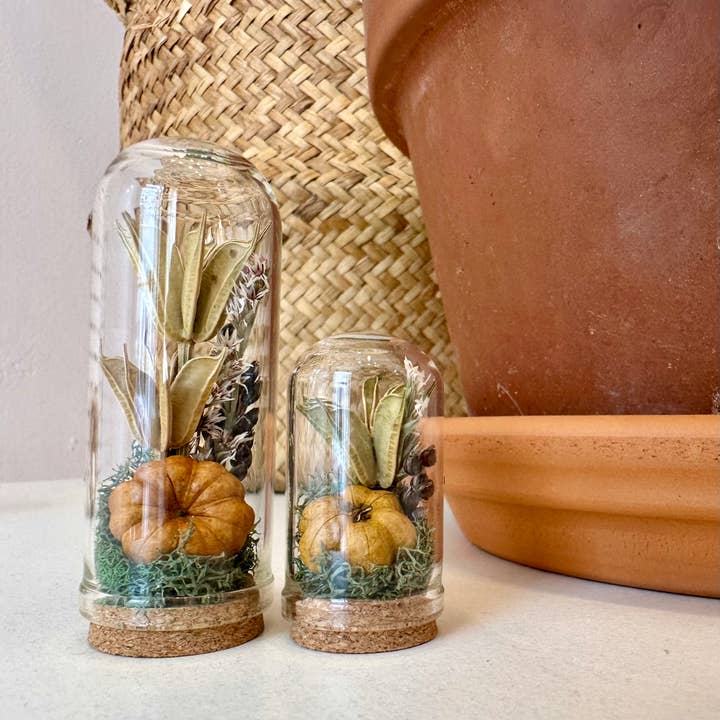 CA Studios - Wholesale Terrarium - Pumpkin Mix Mini Terrarium Potion Jar w Dried Florals2