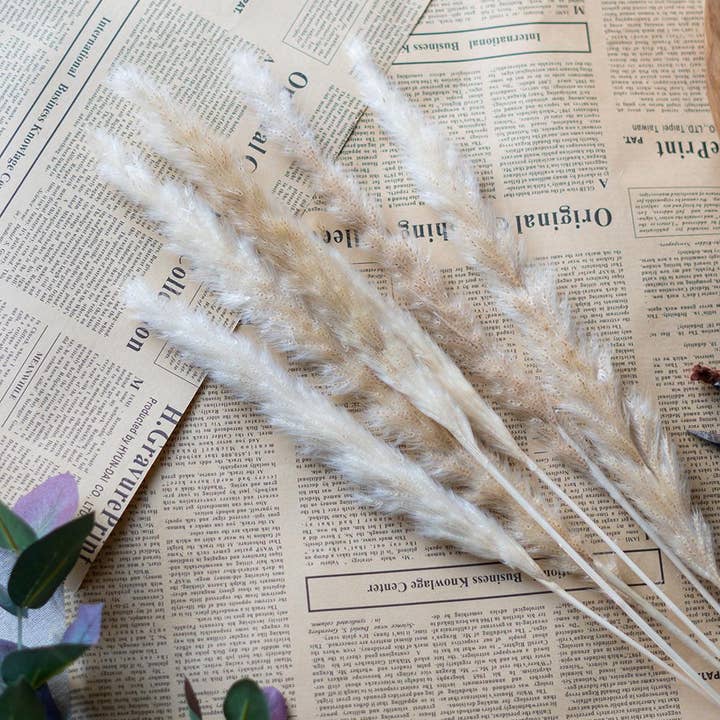 A&B Home Group Inc. - Wholesale Artificial plant - 8x1.2x27.5"H 6pc/Bag Taupe Pampas Grass Cluster2