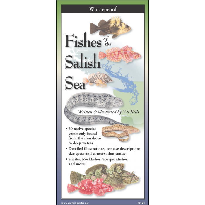 Earth Sky + Water - Wholesale Nature & Outdoors Book - Fishes of the Salish Sea0