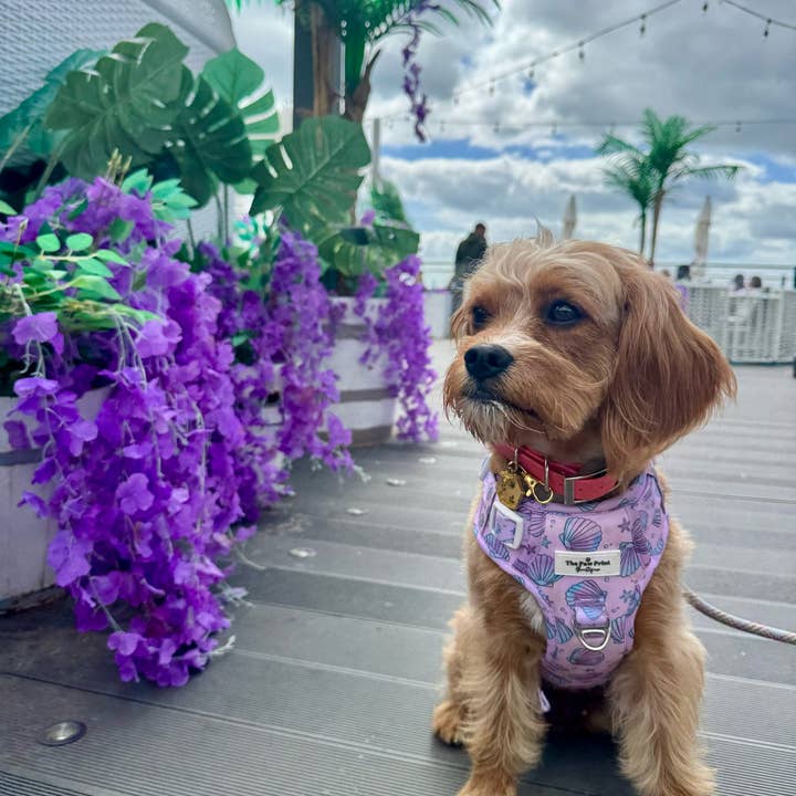 The Paw Print Boutique - Wholesale Pet Harness - Dog - Mermaids Tails Adventure Paws Harness27