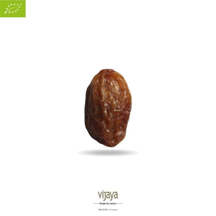 VIJAYA - SAS J.L. BOYERE - Wholesale Dried/Dehydrated Fruit - Sultanine grape - TURKEY - 5 kg - Organic*