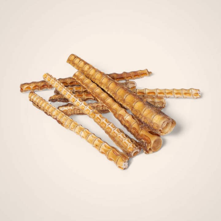 Cartilagine di squalo per la vendita all'ingrosso da parte di Woofing Wonders