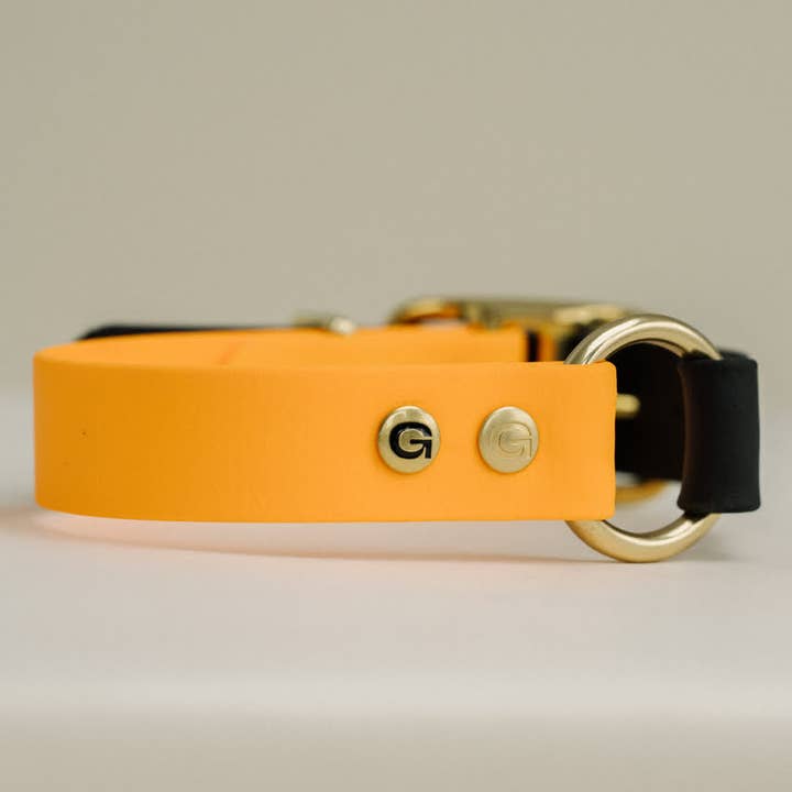 GULA DOG CARE - Wholesale Pet Collar - Dog - Classic Dog Collar - Orange & Black (25mm width)