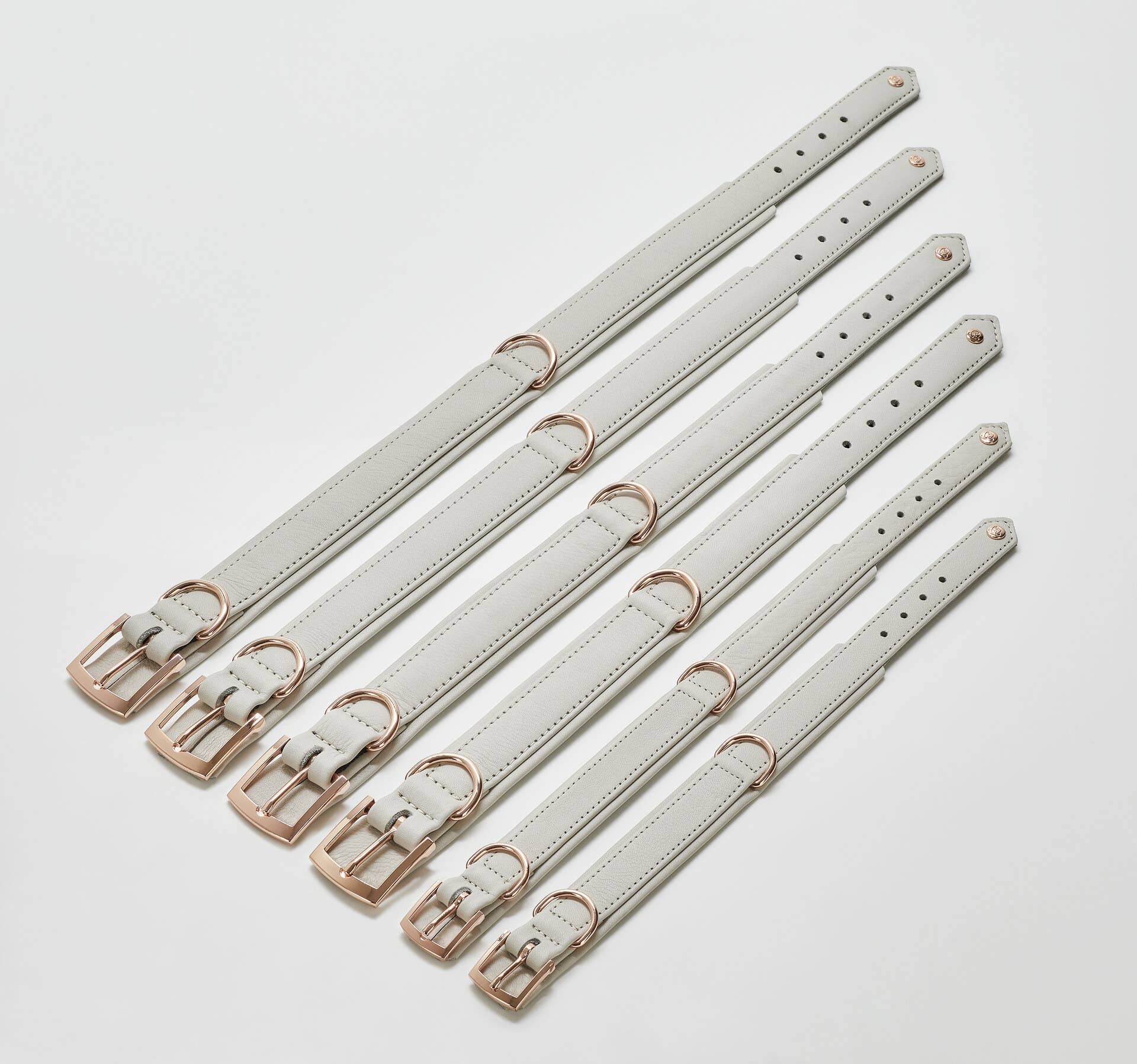 LABONI - Volentis GmbH - Wholesale Pet Collar - Dog - AMICI dog collar27