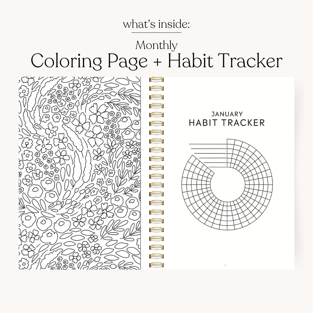 Elyse Breanne Design - Vendita all'ingrosso Planner - Pianificatore Annuale 2026 Campagna4