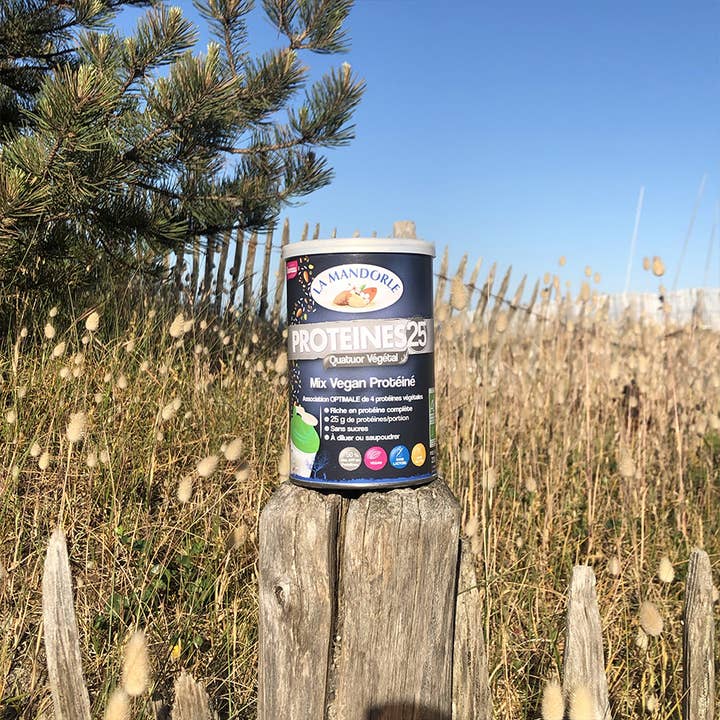 La Mandorle - Wholesale Protein/Superfood Powder - Organic Complete Vegetable Protein, PROTEINS 253