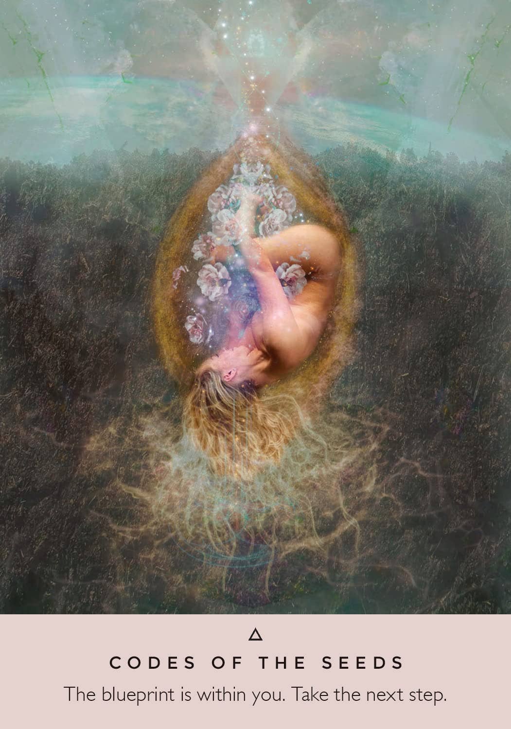 Cardshouse - Wholesale Tarot Cards - Rose Oracle Cards Hay House6