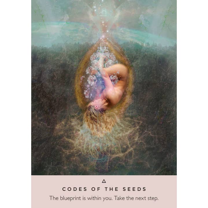 Cardshouse - Wholesale Tarot Cards - Rose Oracle Cards Hay House6