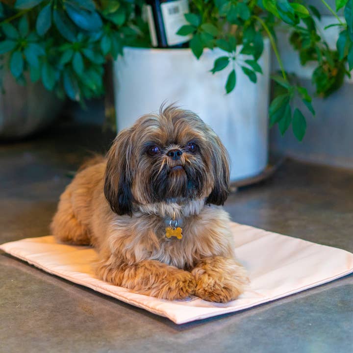 The Green Pet Shop - Wholesale Pet Bed - Dog - Cool Pet Pad Cover