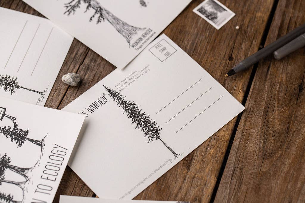 Drawn to Ecology - Wholesale Postcard - Next Steps Postcard2