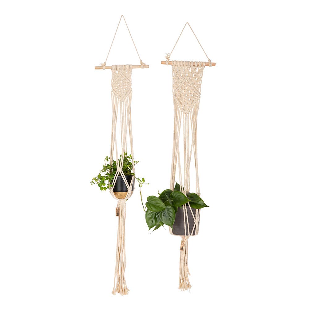 The Little Botanical - Wholesale Plant Pot - Natural Macrame Plant Hanger3