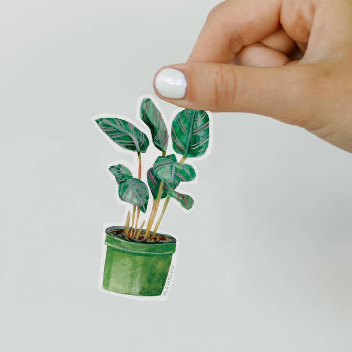 Plant Sticker for wholesale by Lana's Shop