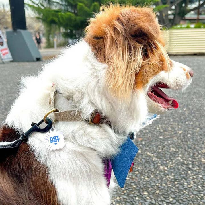 NATPAT - Wholesale Pet supplement – Cat/dog - NATPAT Pet Flea Repellent Stickers: Natural Pet Care Patches6