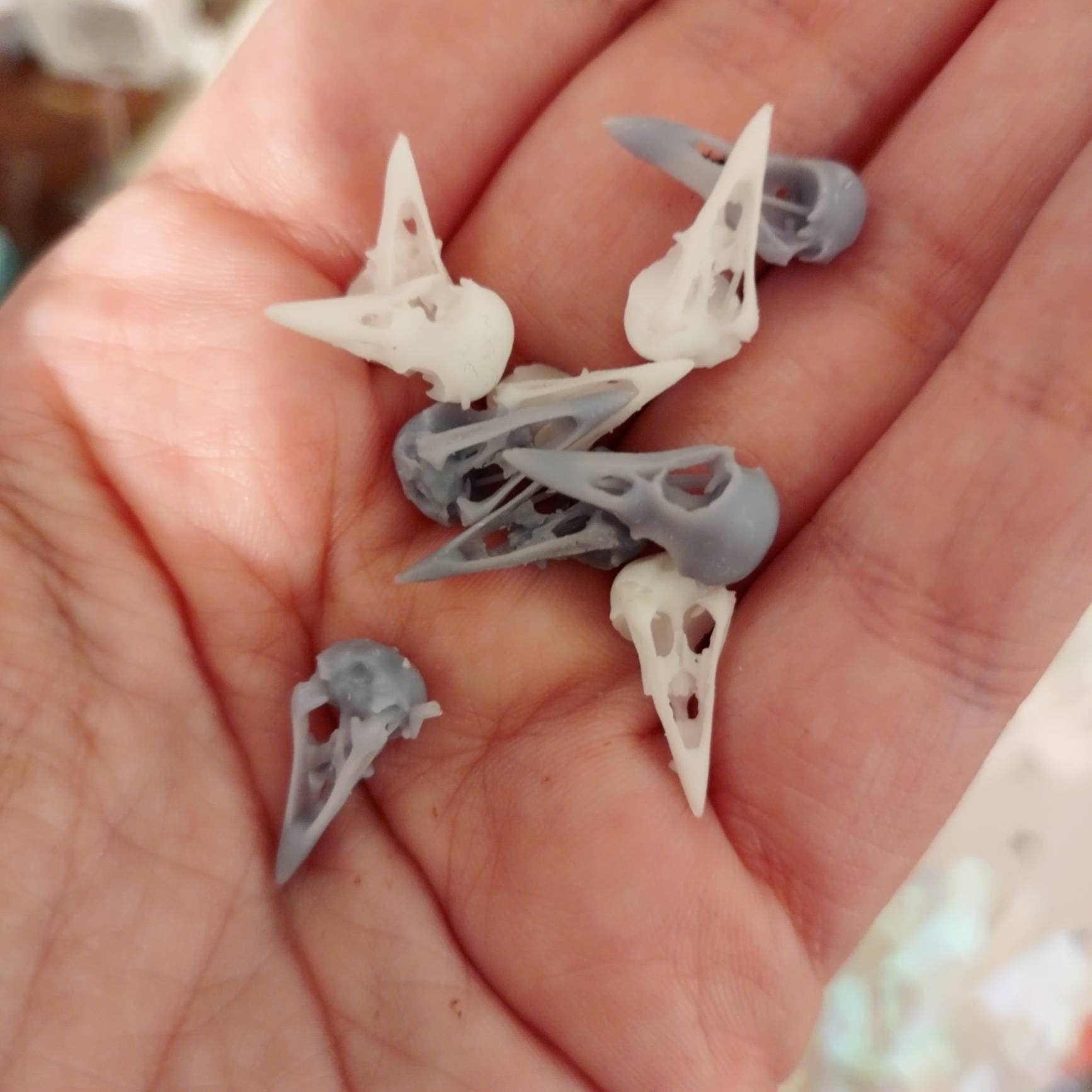 The Scale Grail - Wholesale Decoratief beeldje - Raven Skull Miniature, schaal 1:6 (5 schedels) - The Scale Grail2