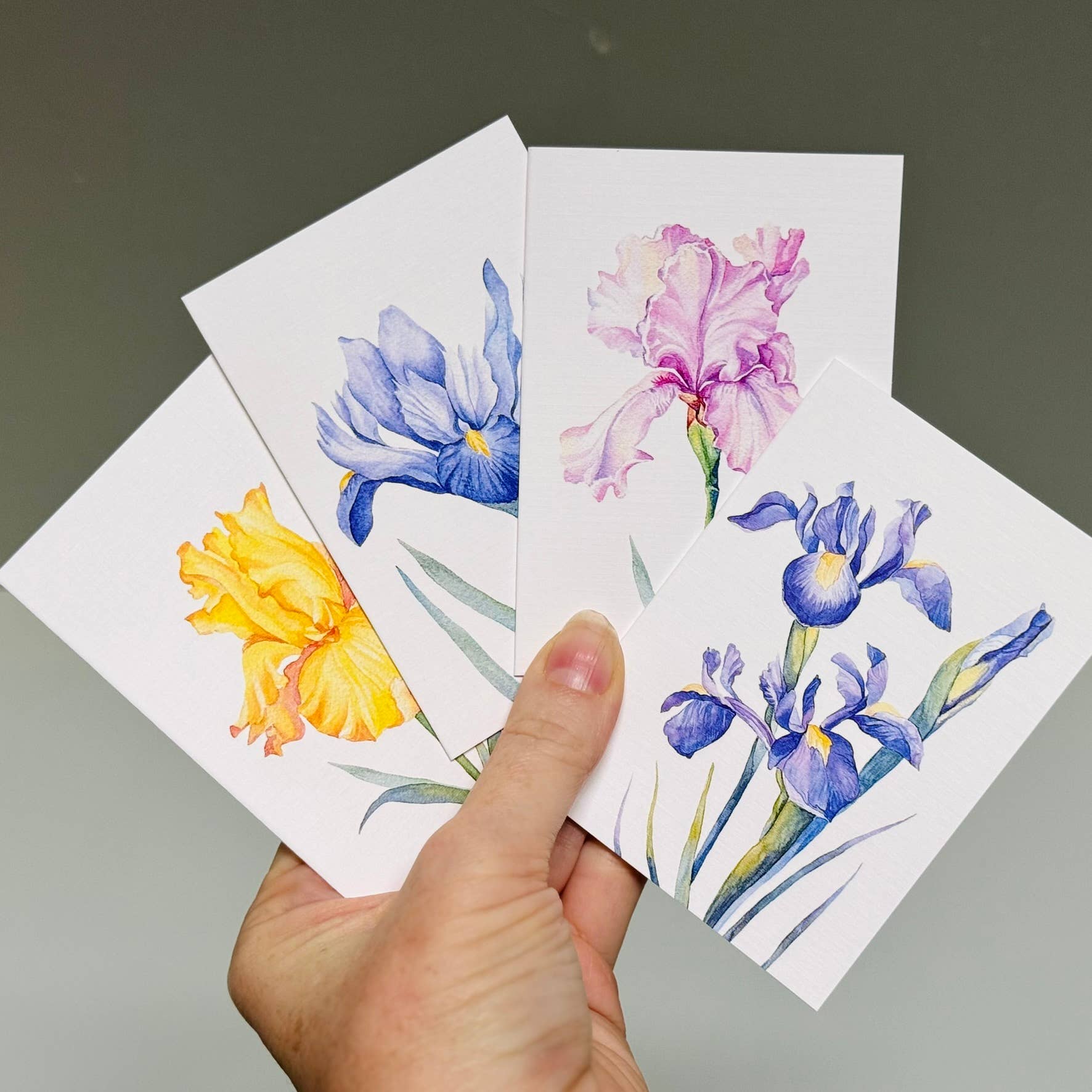 Scattered Seed Co - Wholesale Stationery/Notecard Set - IRIS greeting cards set of 4 Mini or Regular size14
