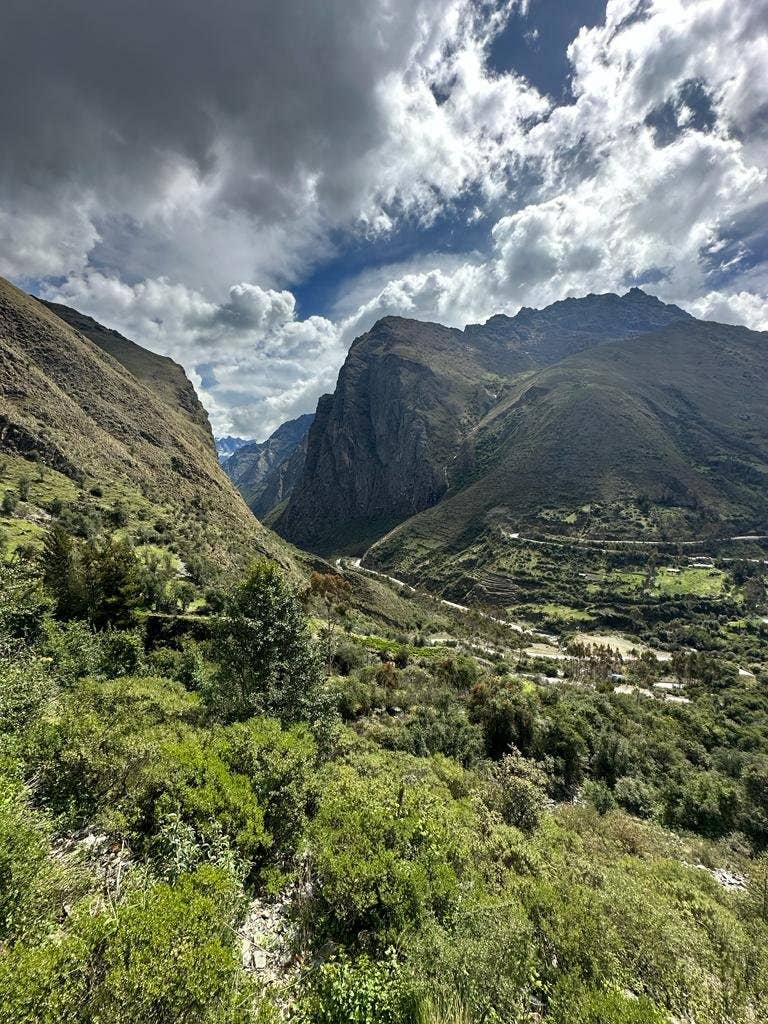 Whiptail Coffee - Wholesale Coffee Beans - Peru Alto Maravilla - Eloy Huillca Robles -SQ10344881