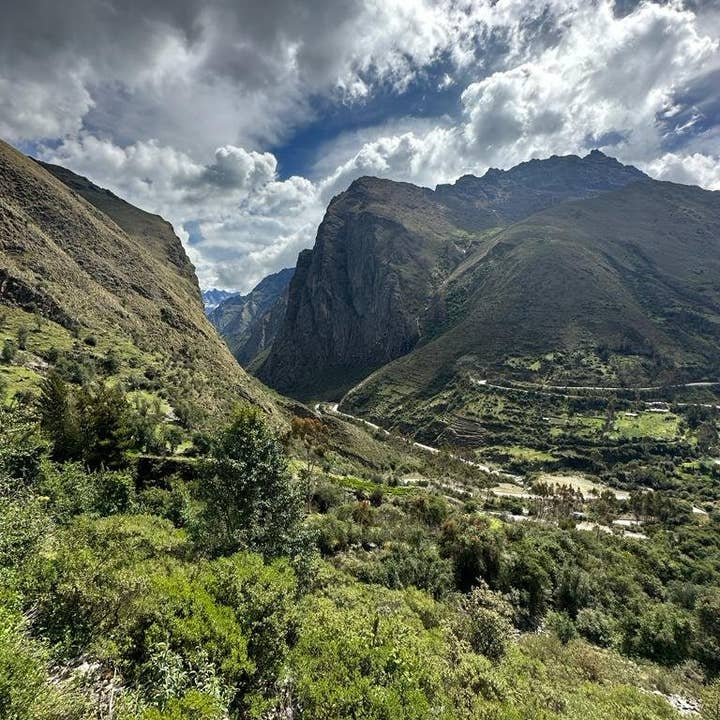 Whiptail Coffee - Wholesale Coffee Beans - Peru Alto Maravilla - Eloy Huillca Robles -SQ10344881